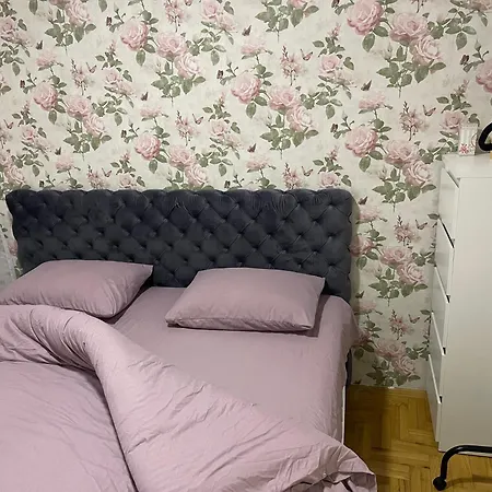 Stella Centar Novi Sad