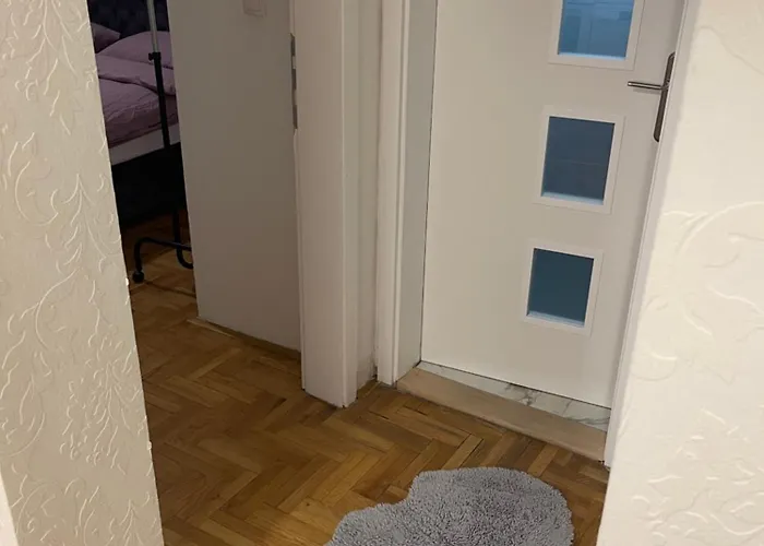 Stella Centar * Novi Sad