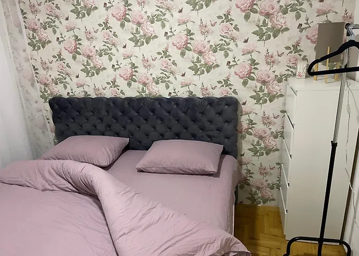 Stella Centar Novi Sad