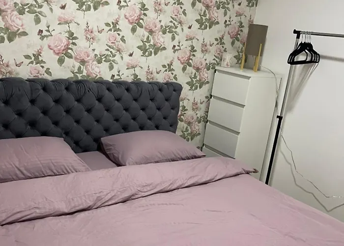 Stella Centar * Novi Sad